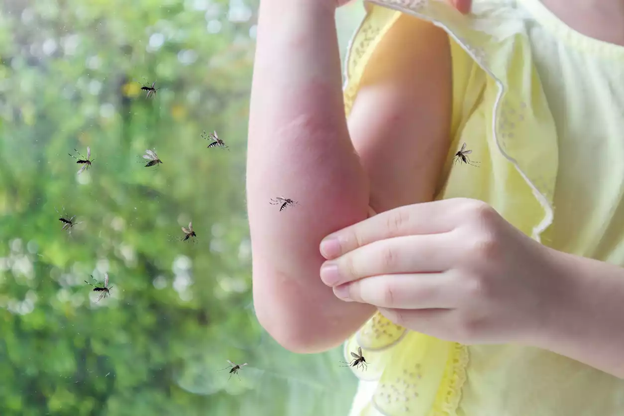 how-to-make-mosquito-spray-4-easy-recipes