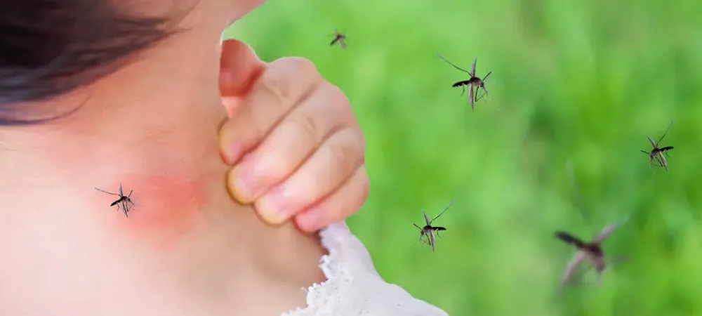 mosquitoes swarming and biting a girl