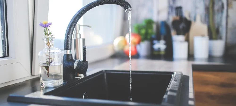 black kitchen faucet with running water. No sign of ants in this kitchen thanks to the exterminators at A-action Pest Control