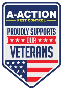 Support our vets badge