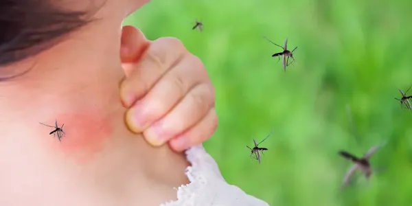 mosquitoes swarming and biting a girl